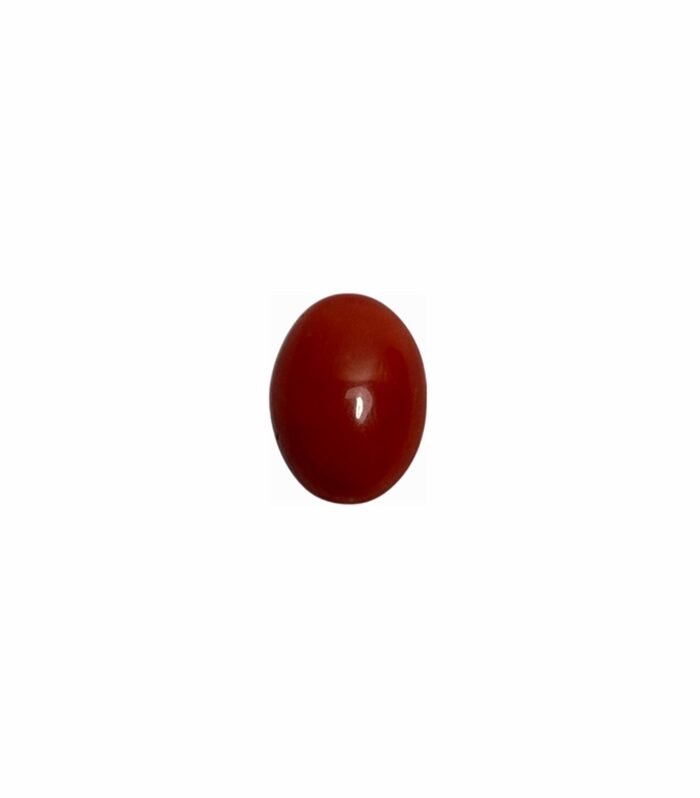 Red Coral Oval Shape 1pc 6.45cts (16x12mm) (G2-4019)