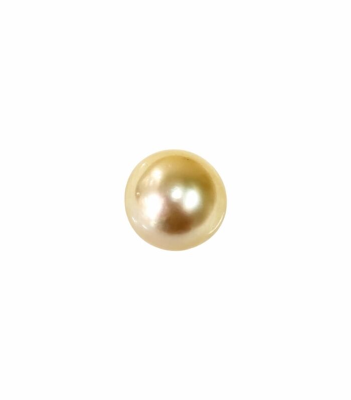 South Sea Pearl 1pc 25.00cts (14.90mm) (G1-4076)