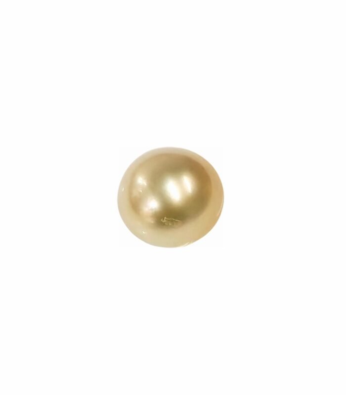South Sea Pearl 1pc 21.29cts (14.15mm) (G1-4075)